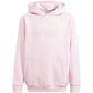 Adidas Allszn Gfx HD Jr sweatshirt IN2844 Clothing/Lifestyle Adidas