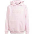 Adidas Allszn Gfx HD Jr sweatshirt IN2844 Clothing/Lifestyle Adidas