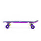Nils Extreme ELECTROSTYLE PENNYBOARD PNB01 RAINBOW Skateboard