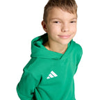 Adidas Entrada 26 Hoody green JZ6563 kids' sweatshirt To be categorized Your Sports Performance