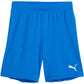 Puma Team Goal kids' shorts blue 705753 02 In preparation Your Sports Performance