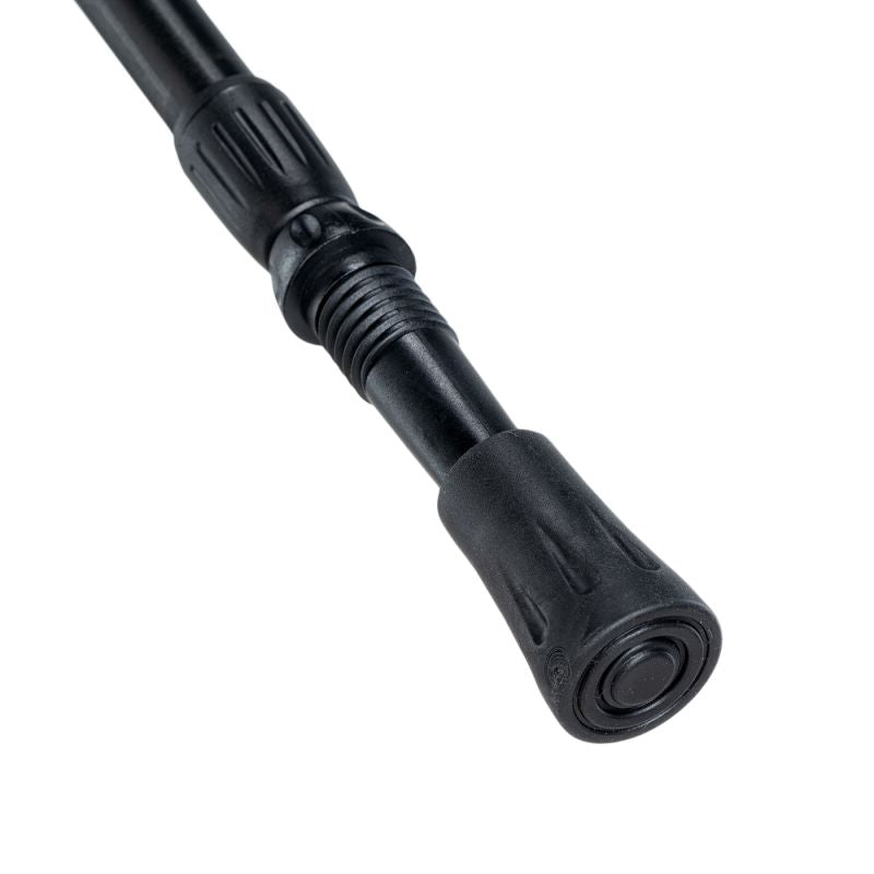 Pokara trekking poles
