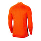 Goalkeeper Jersey Nike Gardien III GK LS M BV6711-803 Clothing/Football Nike
