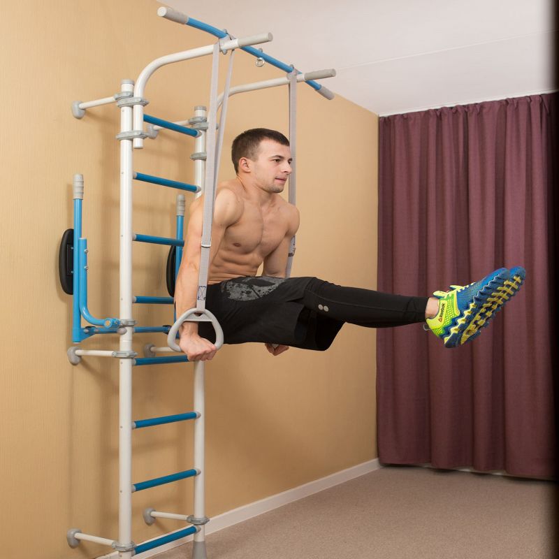 Wallbarz Gym EG-W-055 gymnastic ladder Accessories/Training equipment Your Sports Performance