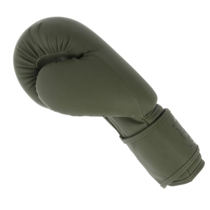 Pointfighter Gloves TOP TEN EUROPE In preparation Your Sports Performance