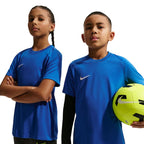 Nike Dri-Fit Park VIII Kids' T-Shirt Blue HV8182 463