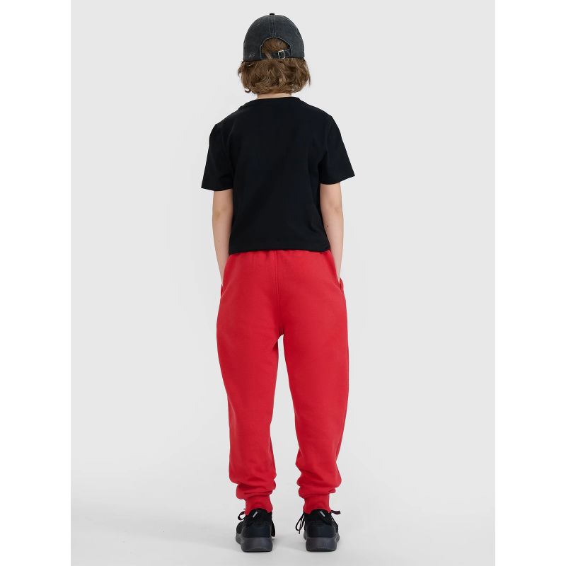Boys' joggers sweatpants 4F 4FJWSS25TTROM1112-62S *Kategoria tymczasowa Your Sports Performance