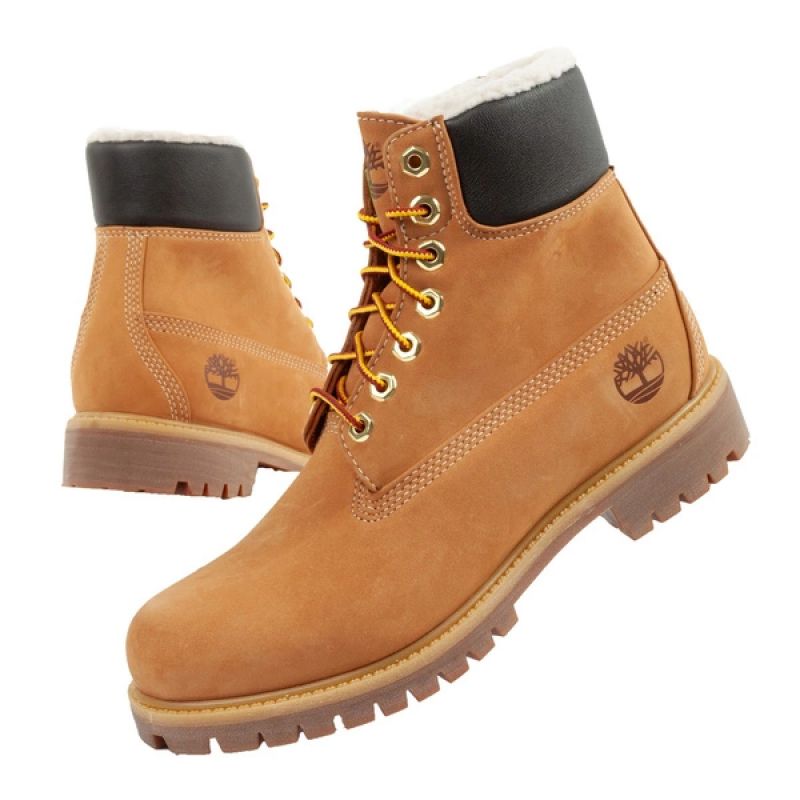 Timberland Premium 6 M TB1A2E31231 shoes Footwear/Lifestyle/Timberland Timberland