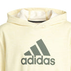 Adidas Badge of Sport Hoodie Jr HN8469 Clothing/Lifestyle Adidas