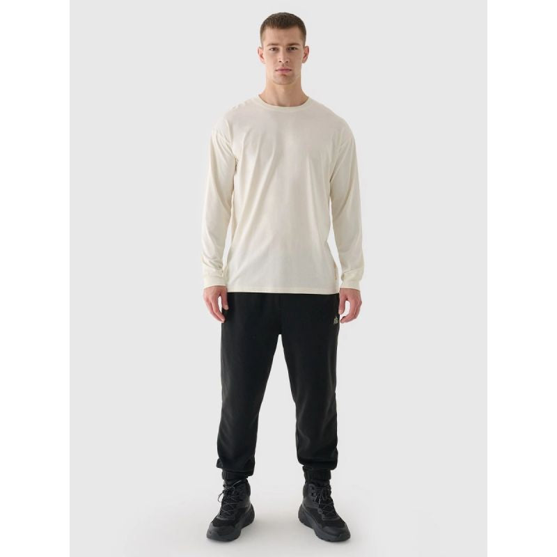 Men's oversize longsleeve with print 4F 4FRAW24TLONM507-83S 4f