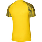 Nike Df Academy Jsy SS Jr T-shirt DH8369 719 Clothing/Training Nike