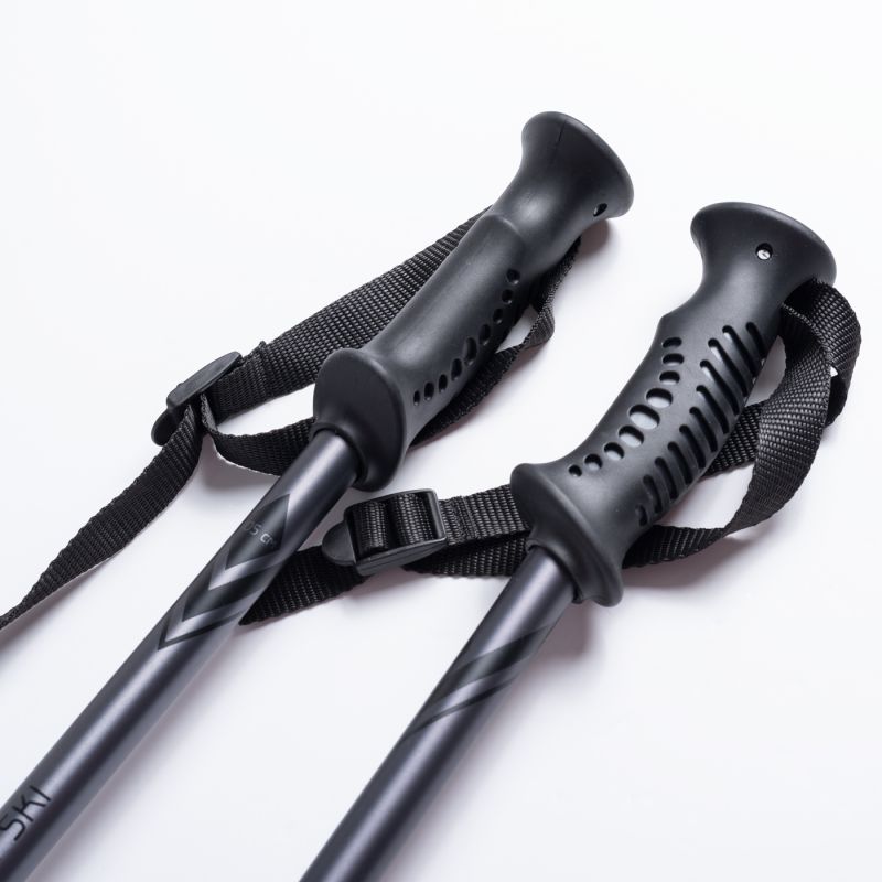 ALPINE SKI II poles In preparation Your Sports Performance