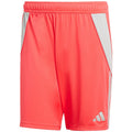Men's adidas Tiro 24 shorts red JI6091 In preparation Adidas