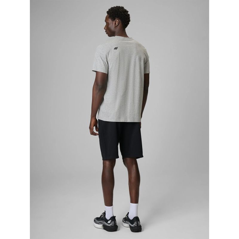 Men's sweatpants 4F 4FRSS26TSHOM0970-20S 4f
