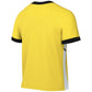 Nike Academy 25 SS Top M FZ9754 719 Clothing/Football Nike