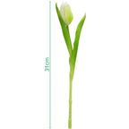 WHITE TULIP 31CM LIFE-LIKE SPRING DECORATION Home and Garden/Equipment Your Sports Performance