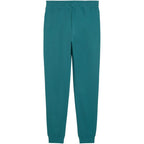 Puma Ess 2 Color No. 1 Logo Men's Pants Green 684714 41