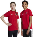 Adidas Arsenal London Tee Jr IT4095 adidas