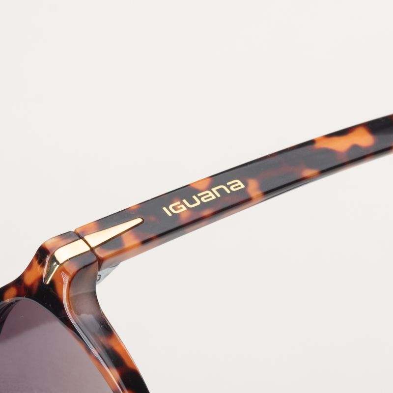 ILZE glasses In preparation Your Sports Performance
