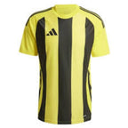Adidas Striped 24 JSY M T-shirt IW2146 Clothing/Football Adidas