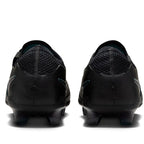 Nike Tiempo Legend 10 Elite FG M DV4328-002 football boots Footwear/Football/FG/SR Nike