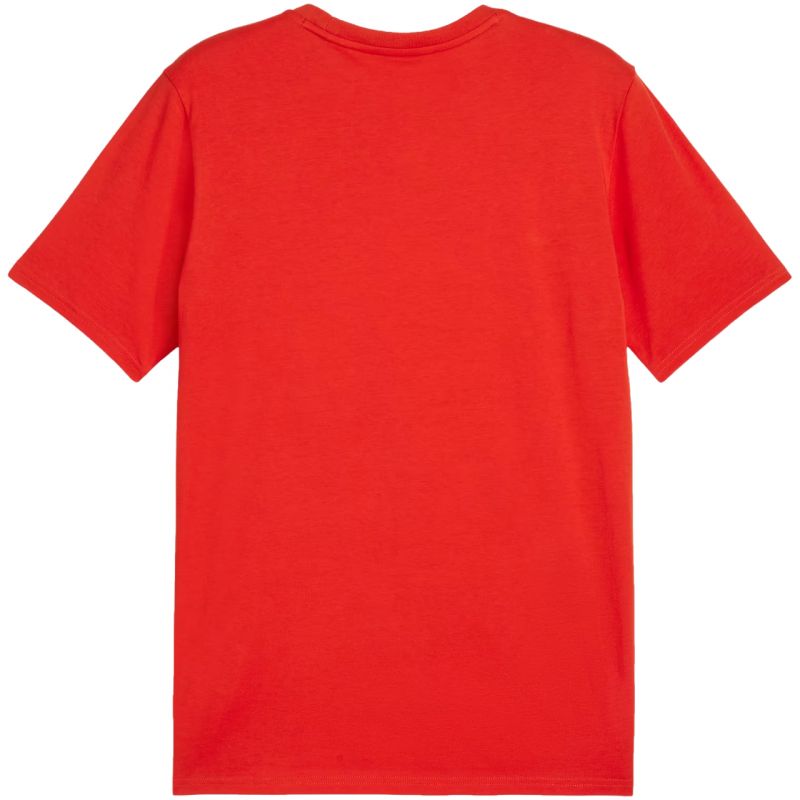 Puma Team Goal Casuals Tee M 658615 01 Clothing/Lifestyle/T-shirts Puma