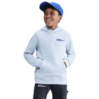 Nike Inter Milan Sweatshirt HM3651-085 Nike