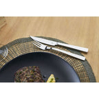 ZWILLING Specials Steak Set 07150-359-0 - 12 pieces AGD - Produkty/Sztućce i przybory kuchenne Your Sports Performance