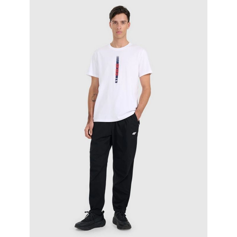 Men's regular printed T-shirt 4F 4FRAW25TTSHM3225-10S *Kategoria tymczasowa Your Sports Performance