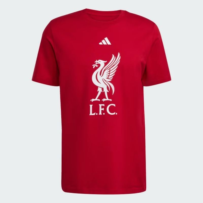 adidas Liverpool LFC DNA T-shirt JW7894 In preparation Adidas