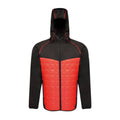 Regatta Modular Thermal M TRA517 92F jacket Clothing/Outdoor Your Sports Performance