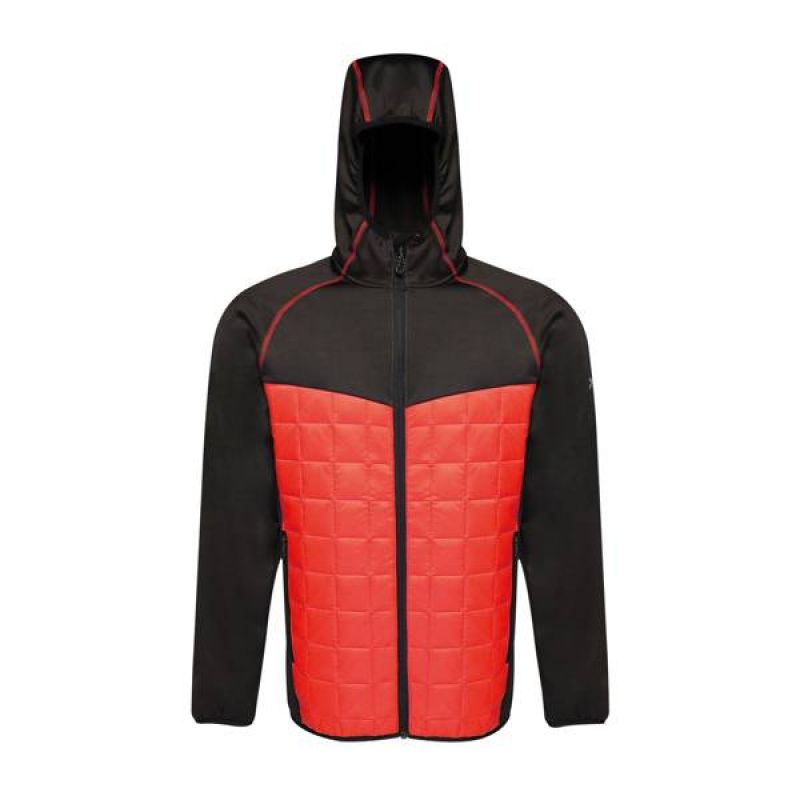 Regatta Modular Thermal M TRA517 92F jacket Clothing/Outdoor Your Sports Performance