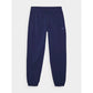 Men's jogger sweatpants 4F 4FWMM00TTROM1139-31S 4f