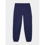 Men's jogger sweatpants 4F 4FWMM00TTROM1139-31S 4f