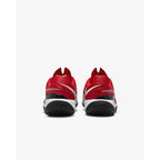 Nike Vapor Drive AV6634-610 shoes Footwear/Training/Men Nike