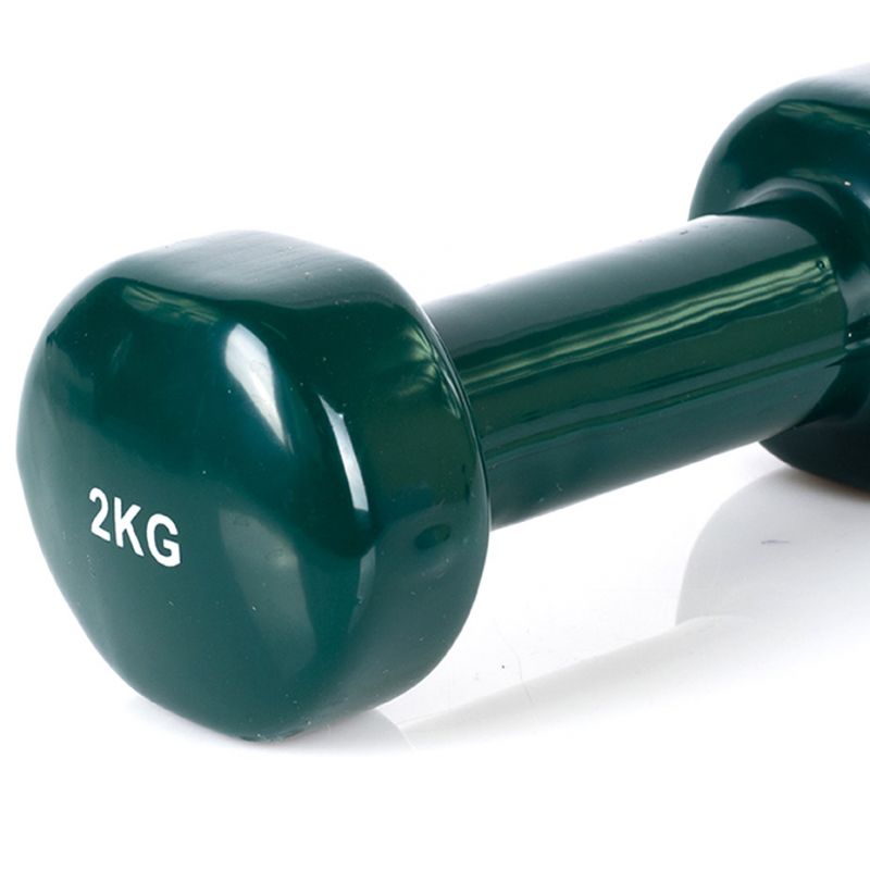 Vinyl dumbbell PROfit 0.5kg DK 4102