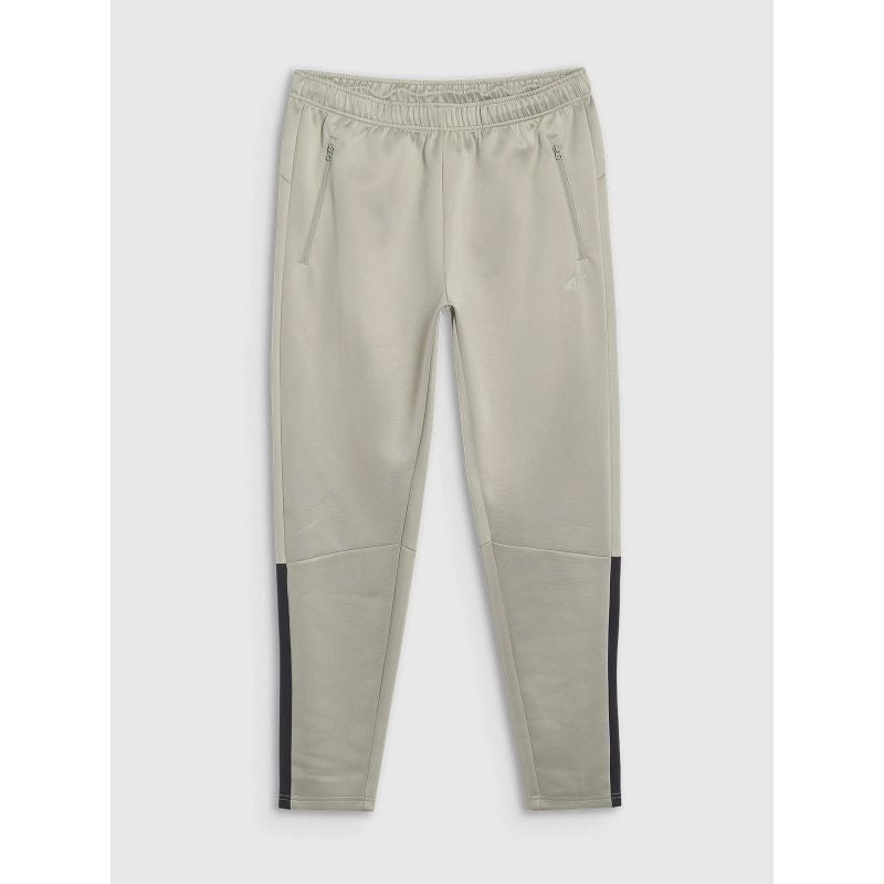 Men's quick-drying training pants 4F 4FWSS25TFTRM0836-44S *Kategoria tymczasowa Your Sports Performance