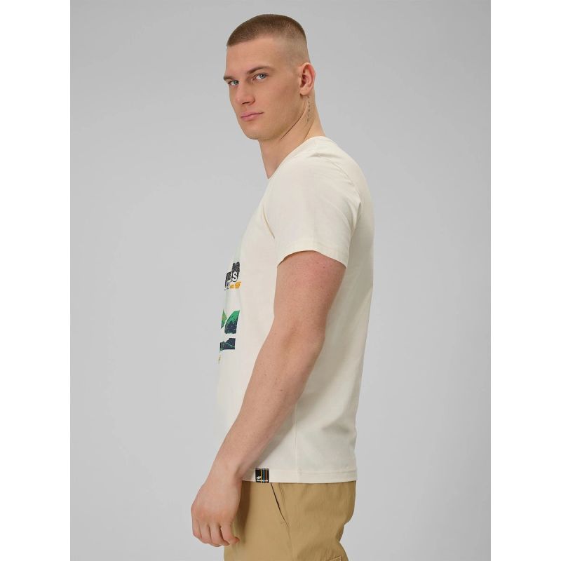 Men's regular printed T-shirt 4F 4FRAW25TTSHM3378-11S 4f