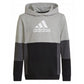 Adidas Colourblock Hoodie Jr HN8563 sweatshirt Clothing/Lifestyle Adidas