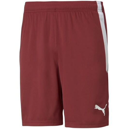 Puma teamLIGA M 704924 09 shorts Clothing/Training Your Sports Performance