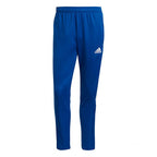 Adidas Tiro 21 Training M GJ9870 pants Clothing/Football Adidas