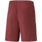 Puma teamLIGA M 704924 09 shorts Clothing/Training Your Sports Performance