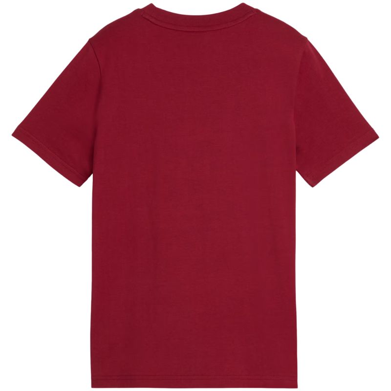 Puma ESS Small No. 1 Logo Centered Tee for Kids Brown 692975 23