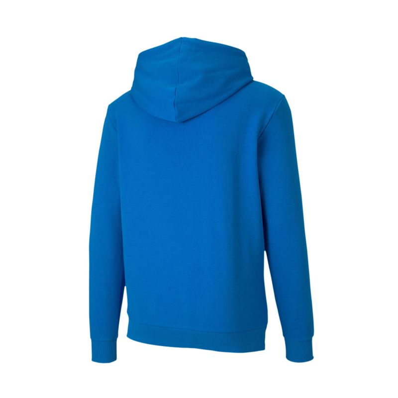 Puma TeamGoal 23 Casuals M 656580-02 sweatshirt Clothing/Training Puma