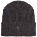 Puma Metal Cat Beanie 024874 01 Clothing/Multisport Puma