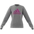 Sweatshirt adidas Big Logo Swt Jr IC6118 Clothing/Lifestyle Adidas