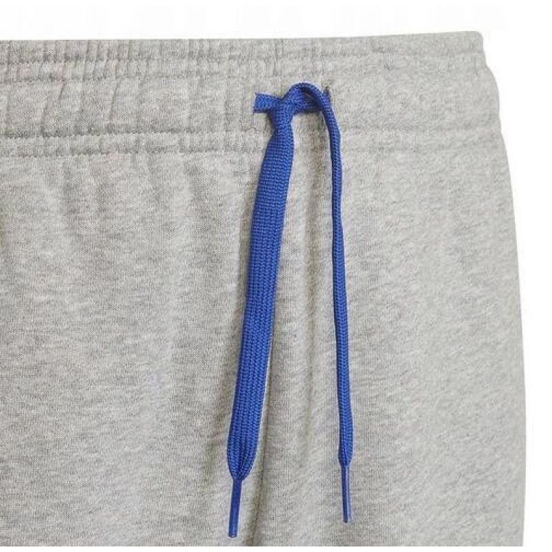 Adidas Trainings Jr HN6712 pants Clothing/Training Adidas