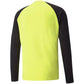 Goalkeeper jacket Puma teamPACER GK LS M 704933 42 Clothing/Football Puma
