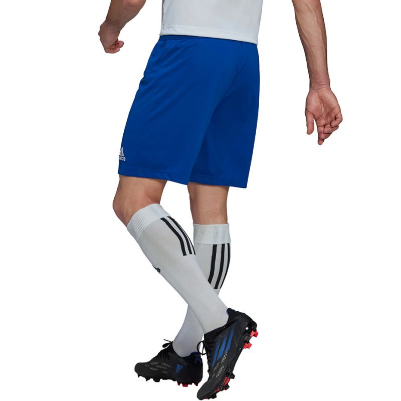 Adidas Entrada 22 M HG6294 shorts Clothing/Training Adidas