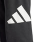 Adidas Essentials Big Logo French Terry M IN6163 pants Clothing/Lifestyle/Trousers, shorts Adidas